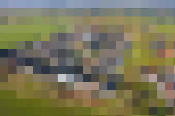 Alferinklaan 36 Bathmen thumbnail 54