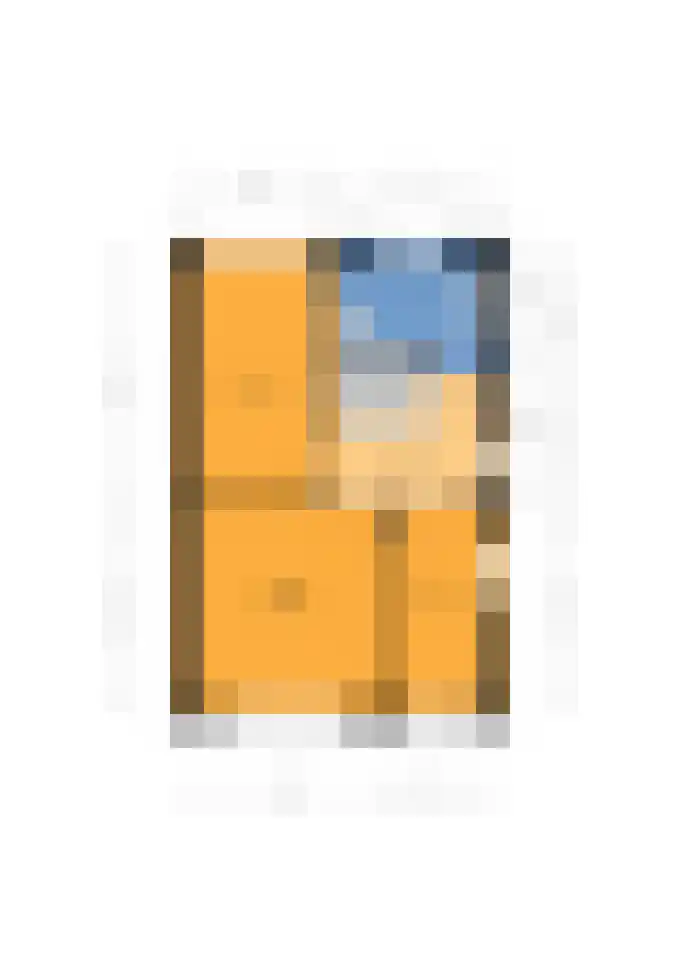 Alferinklaan 36 Bathmen thumbnail 58