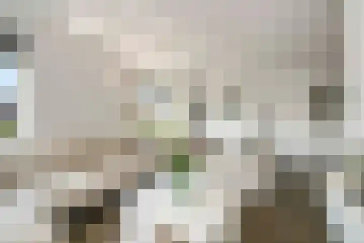 Alferinklaan 36 Bathmen thumbnail 6