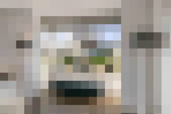 Alferinklaan 36 Bathmen thumbnail 8