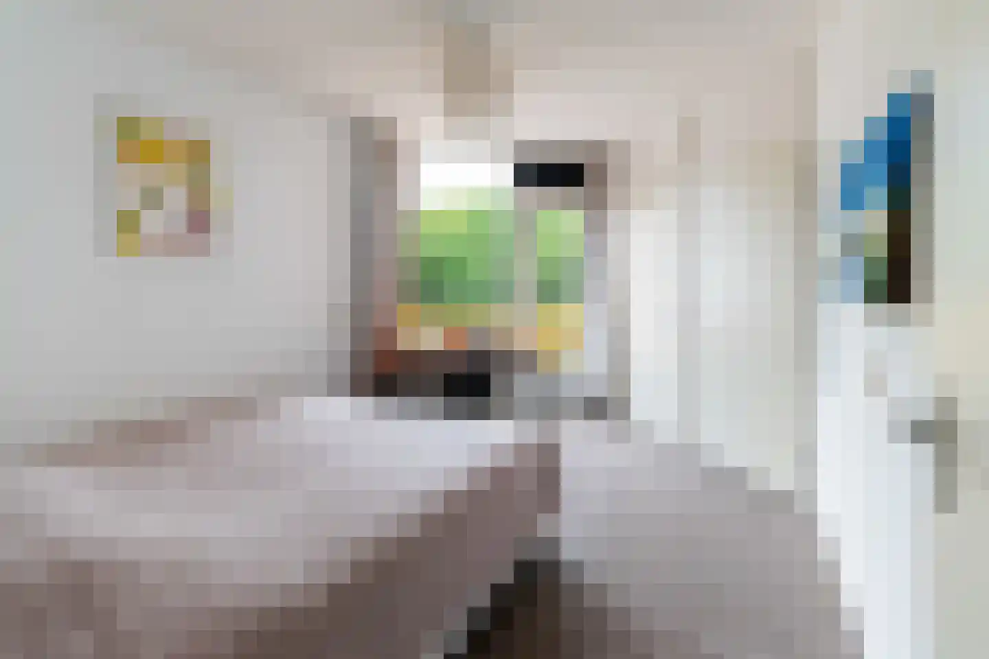 Alfred Döblinstraat 112 Amsterdam thumbnail 16
