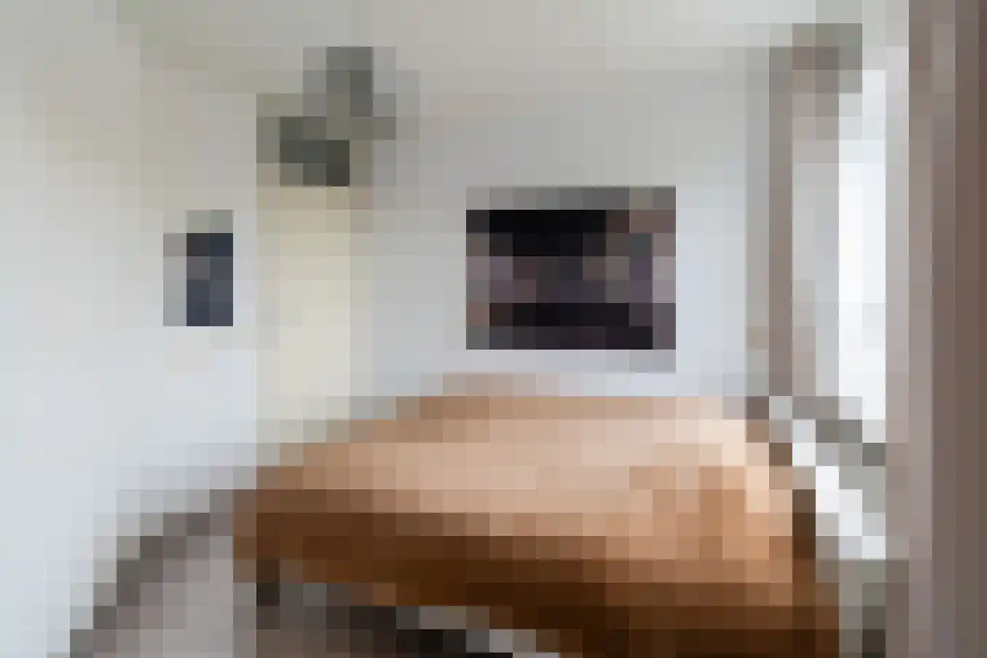 Alfred Döblinstraat 112 Amsterdam thumbnail 19