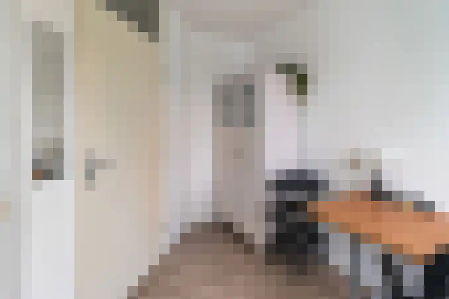 Alfred Döblinstraat 112 Amsterdam thumbnail 23