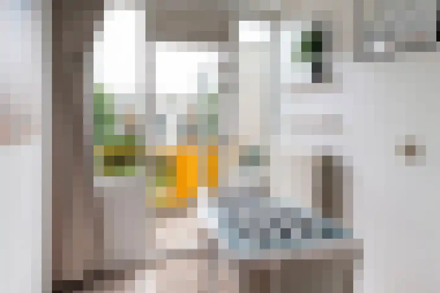 Alfred Döblinstraat 112 Amsterdam thumbnail 5