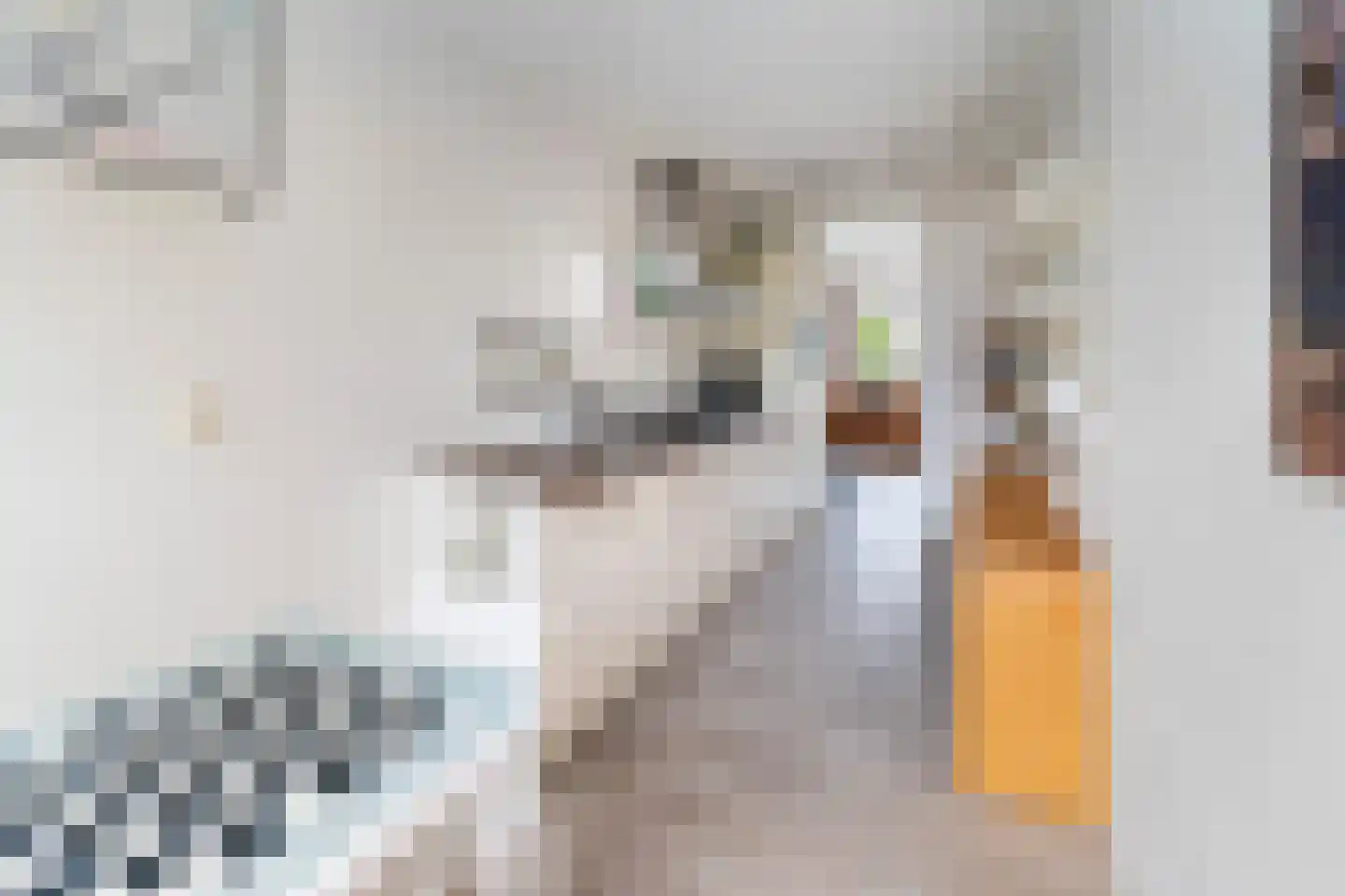 Alfred Döblinstraat 112 Amsterdam thumbnail 8