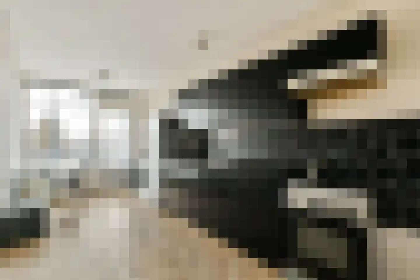 Alfred Döblinstraat 113 Amsterdam thumbnail 10