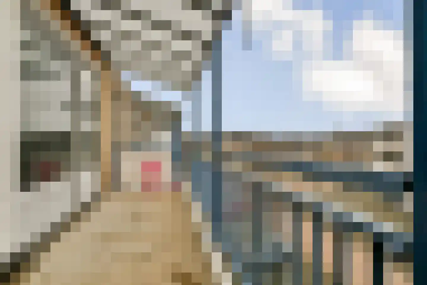 Alfred Döblinstraat 113 Amsterdam thumbnail 6