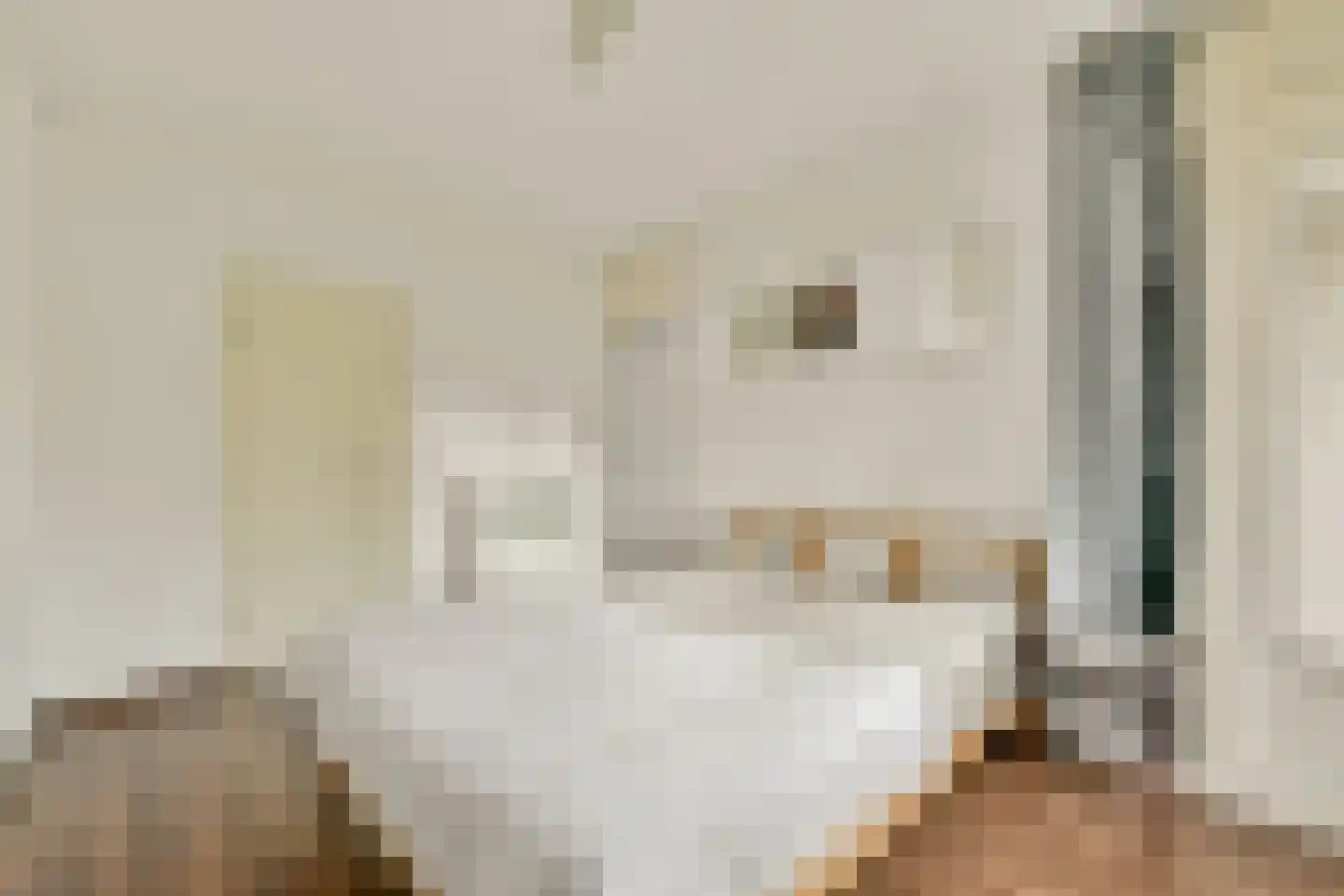 Alfred Döblinstraat 12 Amsterdam thumbnail 12