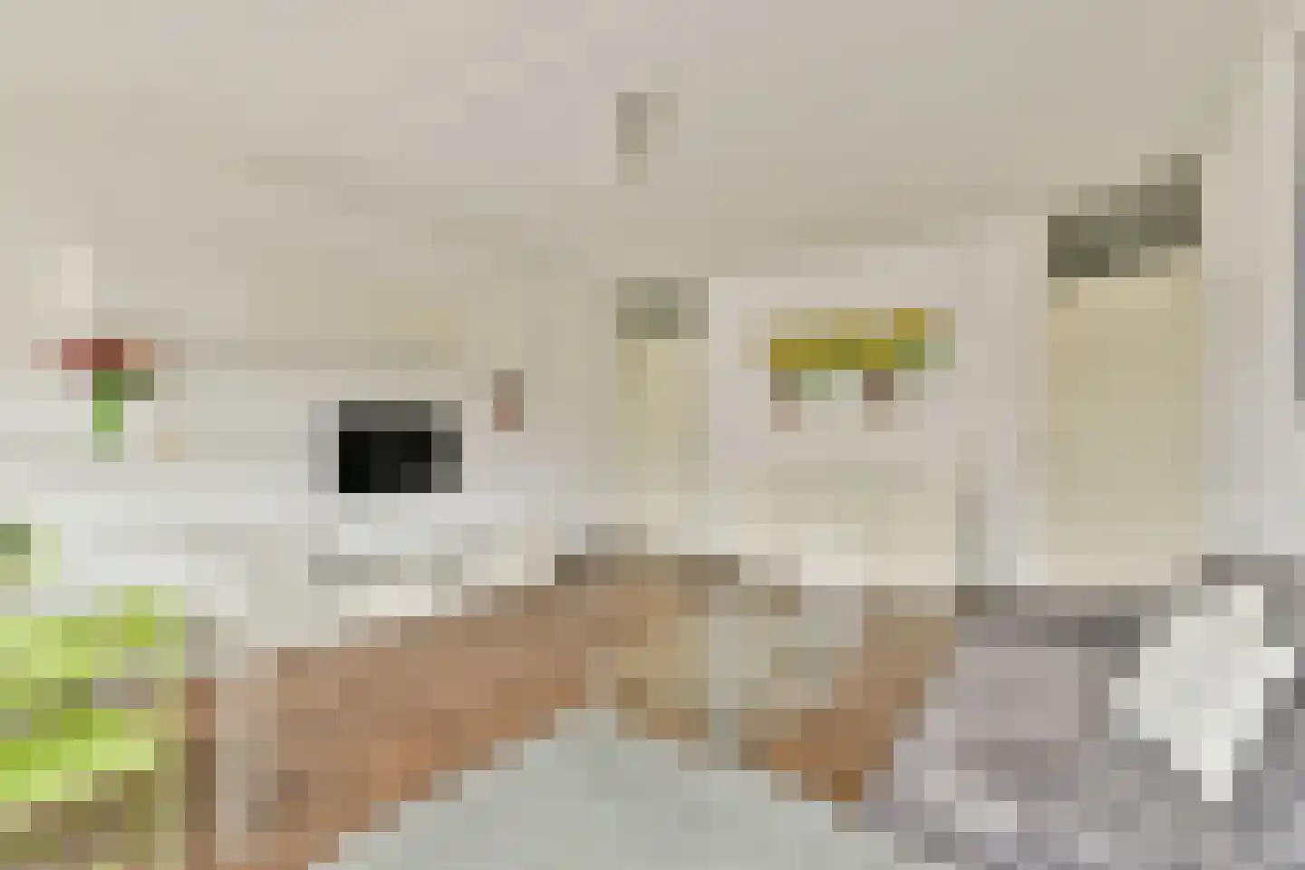 Alfred Döblinstraat 12 Amsterdam thumbnail 4