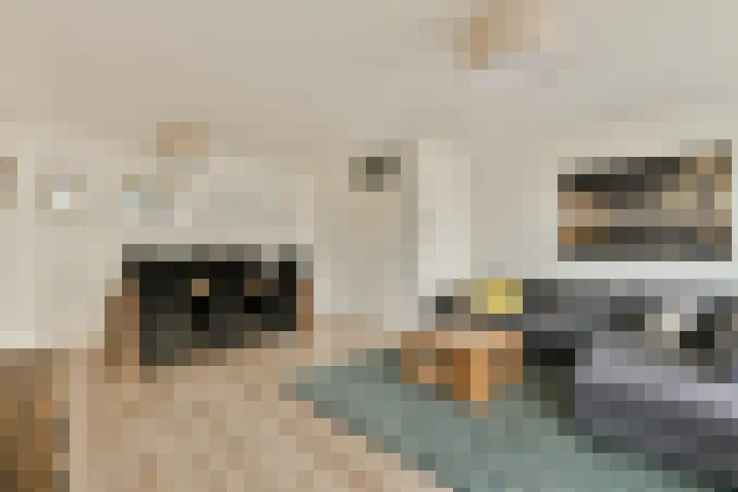 Alfred Döblinstraat 170 Amsterdam thumbnail 6