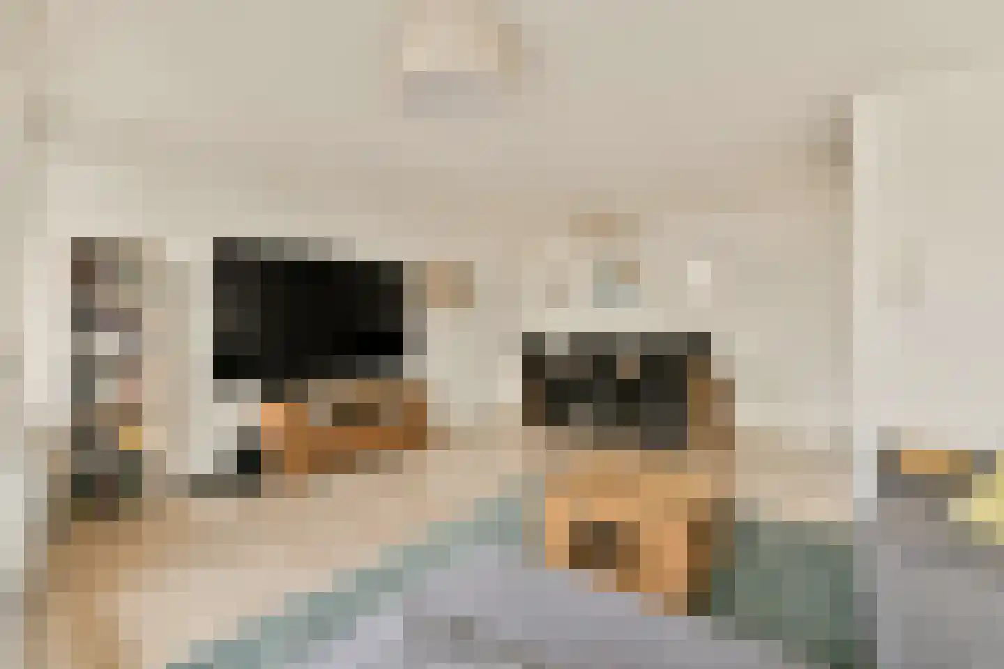 Alfred Döblinstraat 170 Amsterdam thumbnail 7