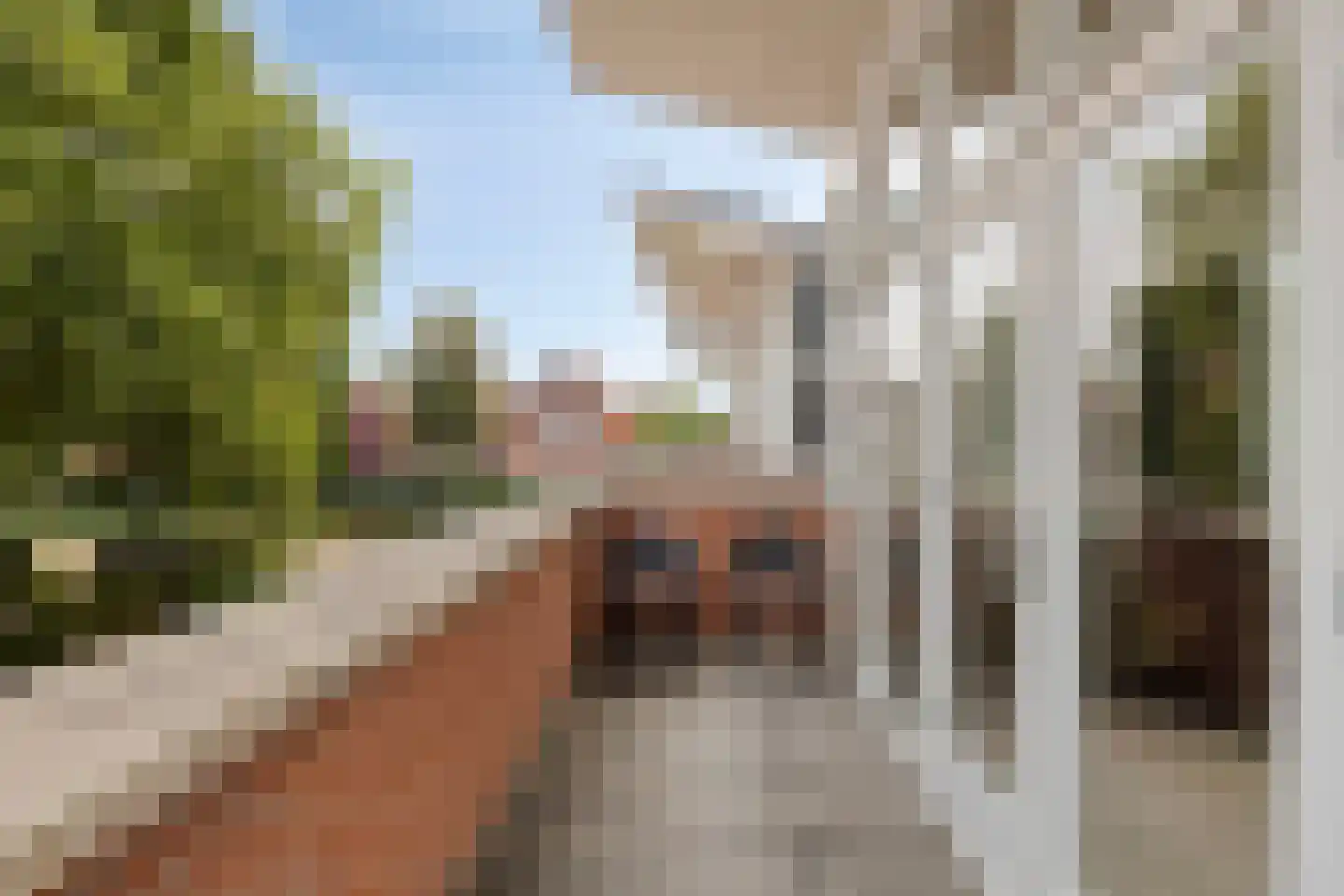 Alfred Mozerhof 5 Dinxperlo thumbnail 23
