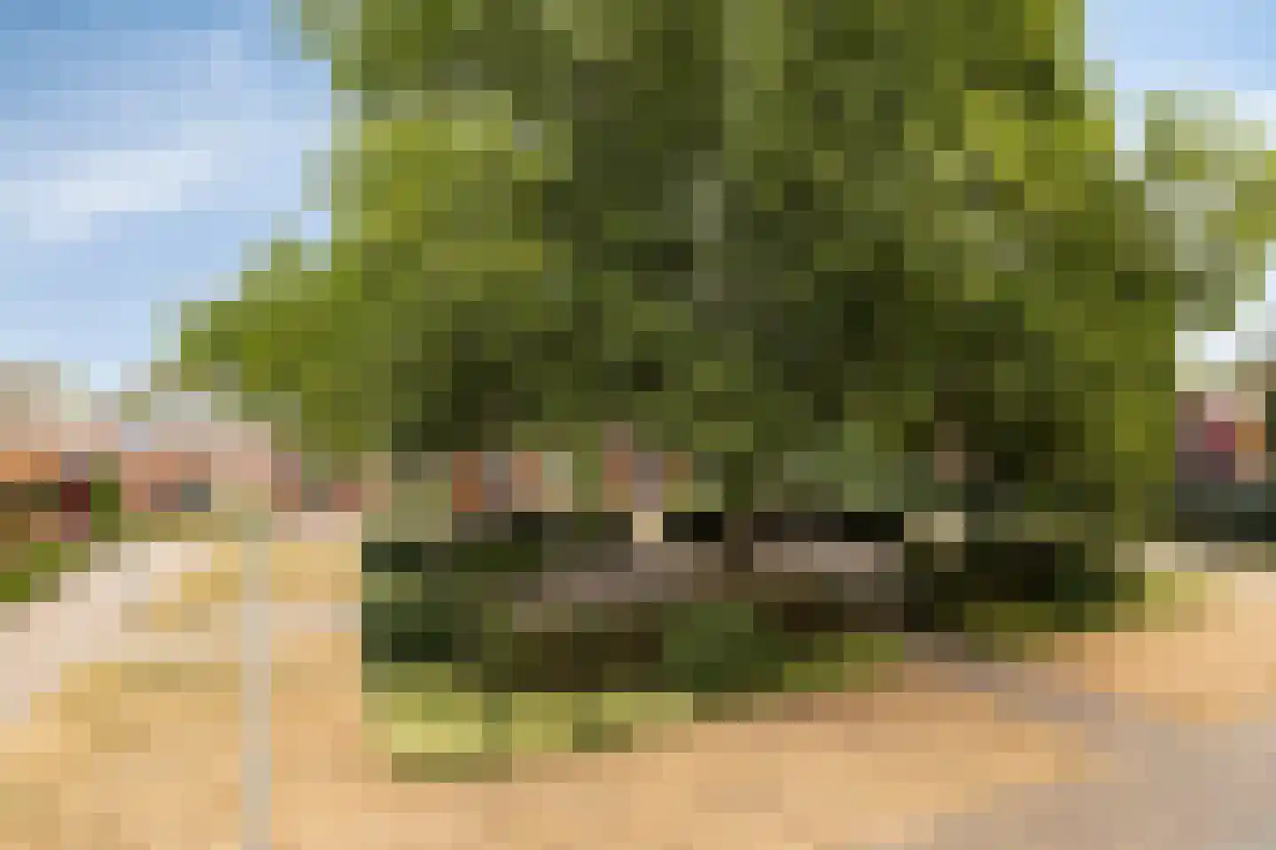 Alfred Mozerhof 5 Dinxperlo thumbnail 24