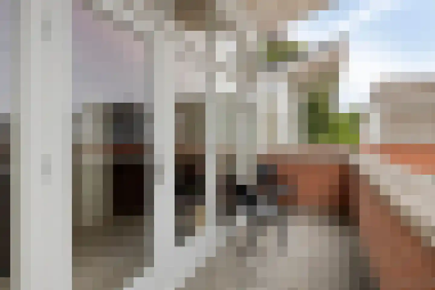 Alfred Mozerhof 5 Dinxperlo thumbnail 25