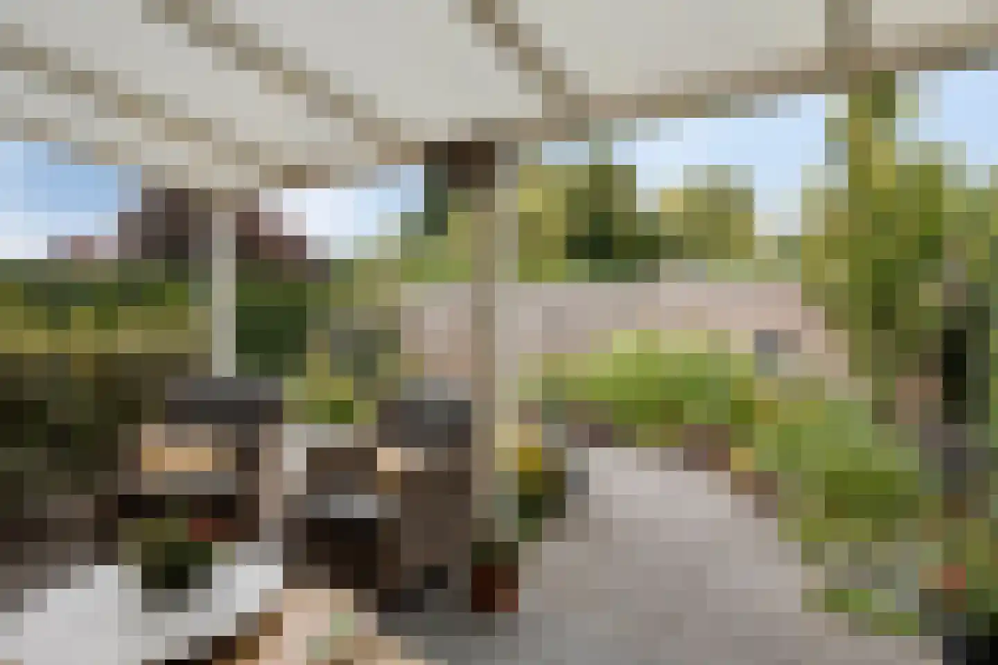 Alfred Mozerhof 5 Dinxperlo thumbnail 26