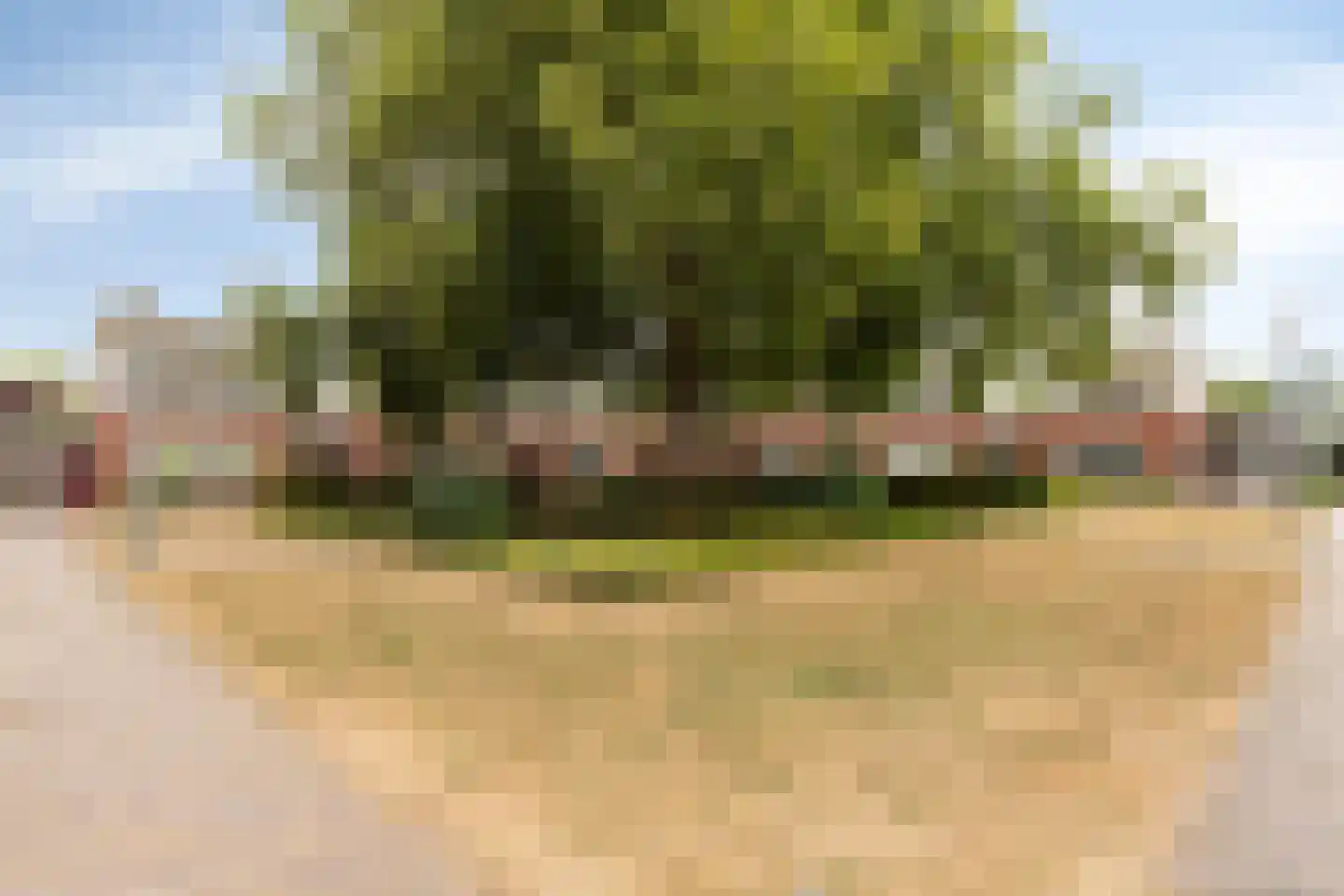 Alfred Mozerhof 5 Dinxperlo thumbnail 35