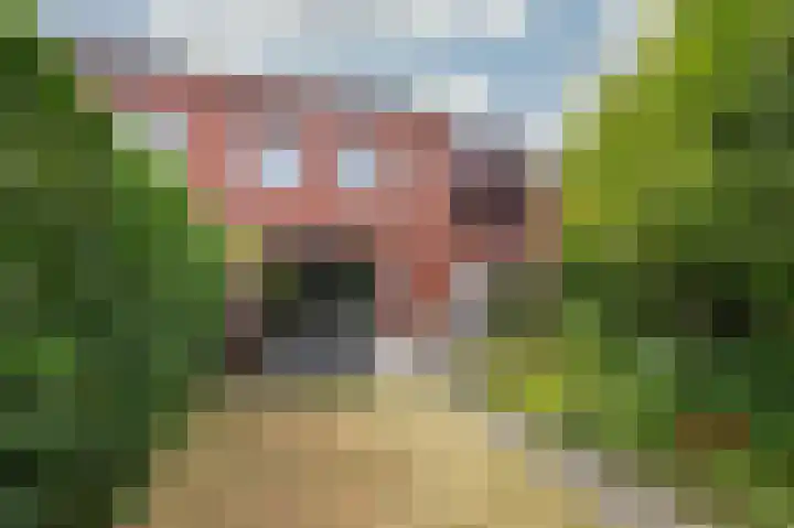 Alfred Mozerplein 16 Doetinchem thumbnail 25