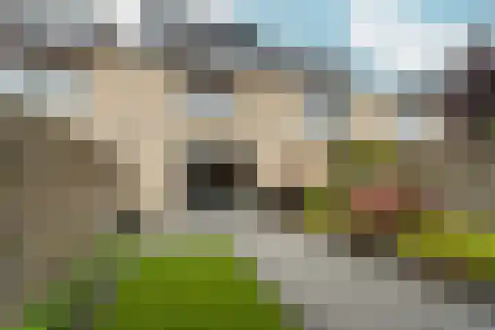 Alfred Mozerplein 52 Doetinchem thumbnail 17