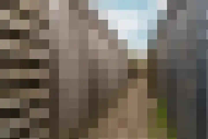 Alfred Mozerplein 52 Doetinchem thumbnail 22