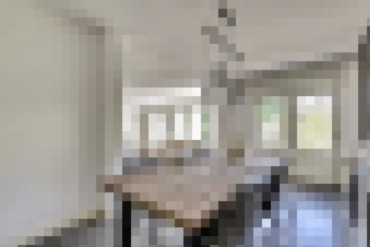 Alfred Nobelborg 2 Schiedam thumbnail 15