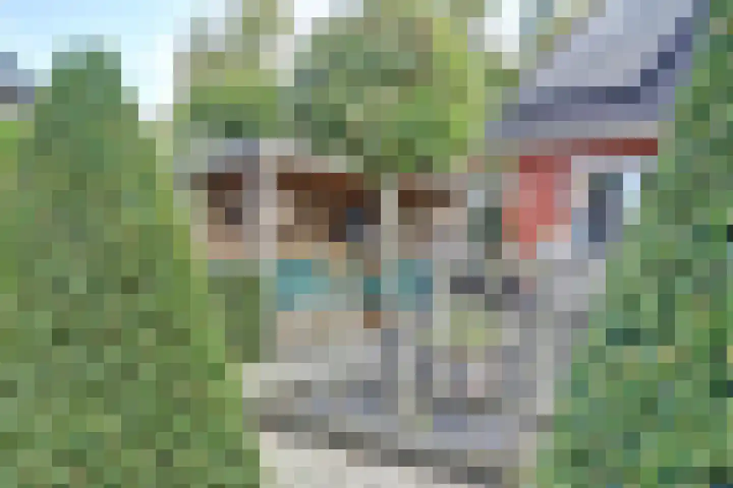 Alfred Nobelborg 2 Schiedam thumbnail 47