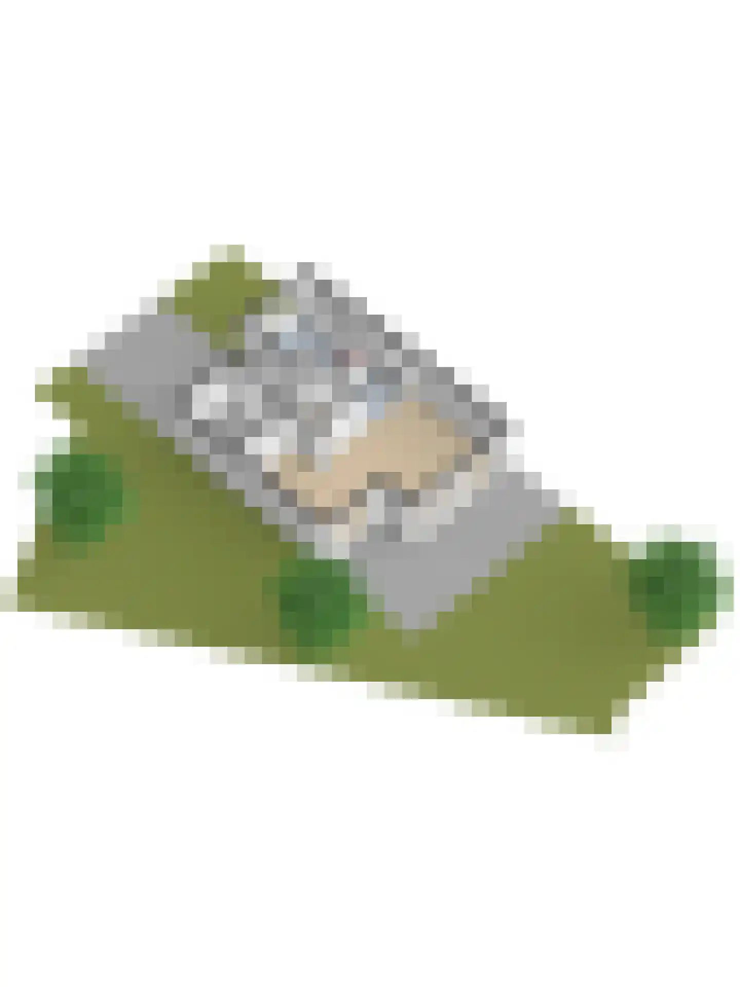 Alfred Nobelborg 2 Schiedam thumbnail 64