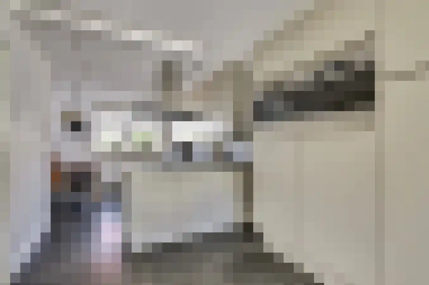 Alfred Nobelborg 2 Schiedam thumbnail 8