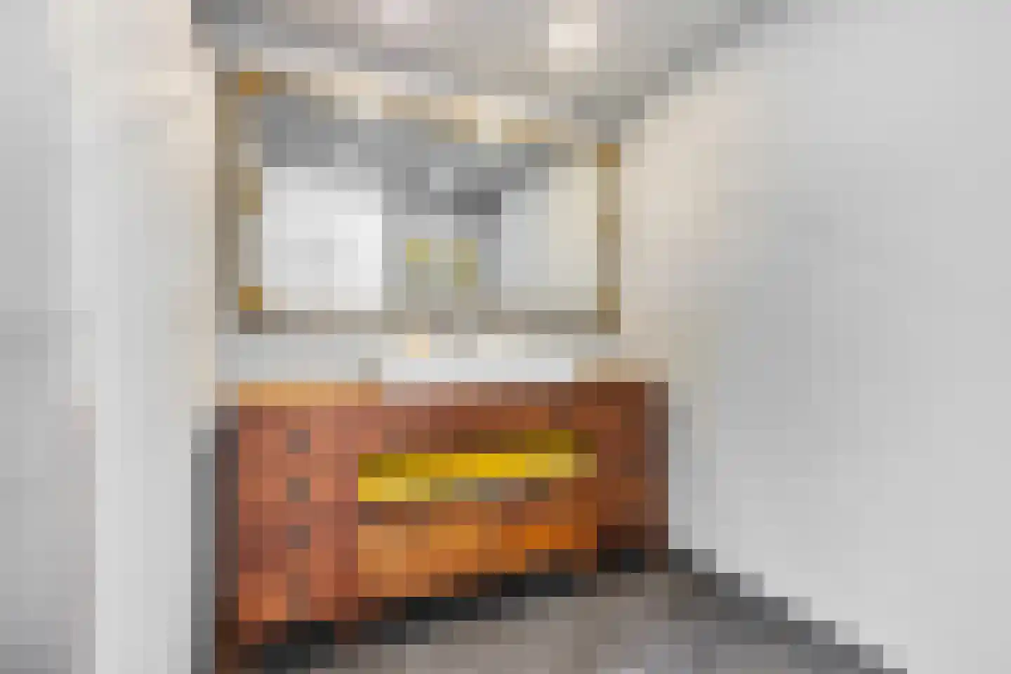 Alfred Nobelborg 5 Schiedam thumbnail 19