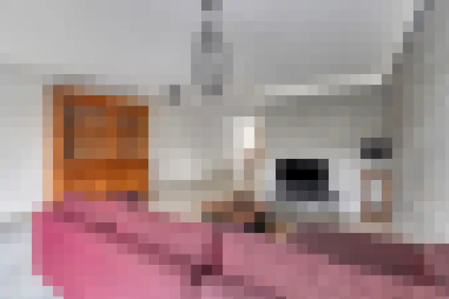 Alfred Nobelborg 5 Schiedam thumbnail 6