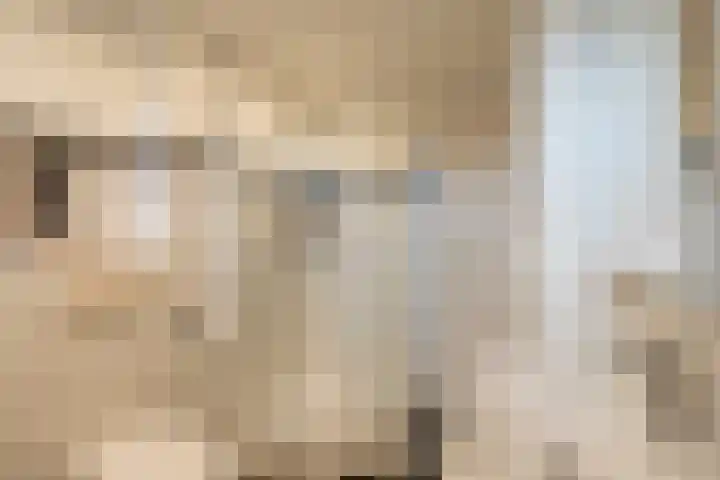 Alfred Nobellaan 112 De Bilt thumbnail 27