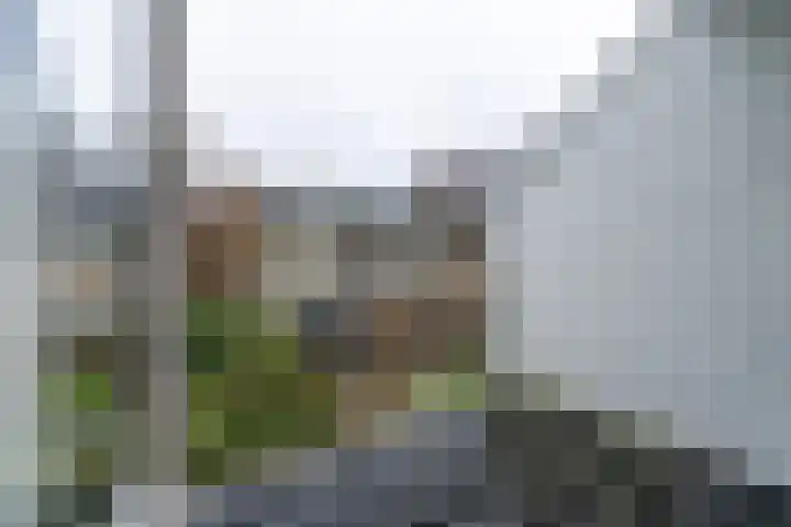 Alfred Nobellaan 112 De Bilt thumbnail 36