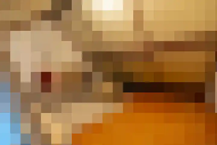 Alfred Nobellaan 112 De Bilt thumbnail 39
