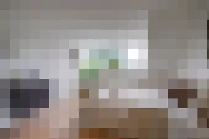 Alfred Nobellaan 112 De Bilt thumbnail 42