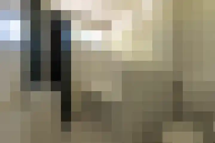 Alfred Nobellaan 114 De Bilt thumbnail 18