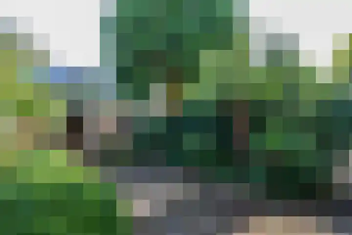 Alfred Nobellaan 114 De Bilt thumbnail 24