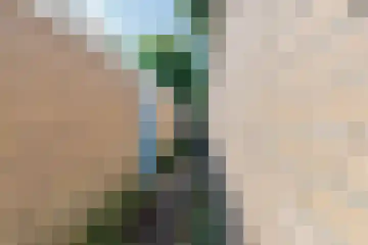 Alfred Nobellaan 114 De Bilt thumbnail 27