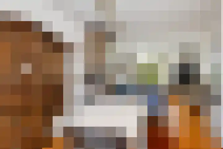 Alfred Nobellaan 122 De Bilt thumbnail 12