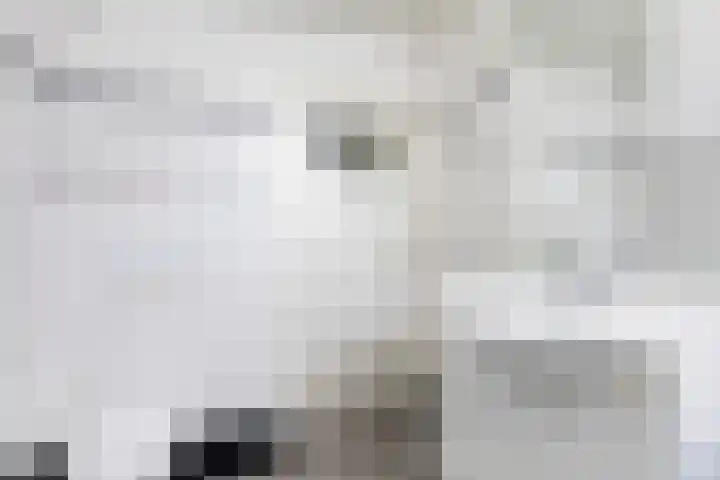 Alfred Nobellaan 122 De Bilt thumbnail 26