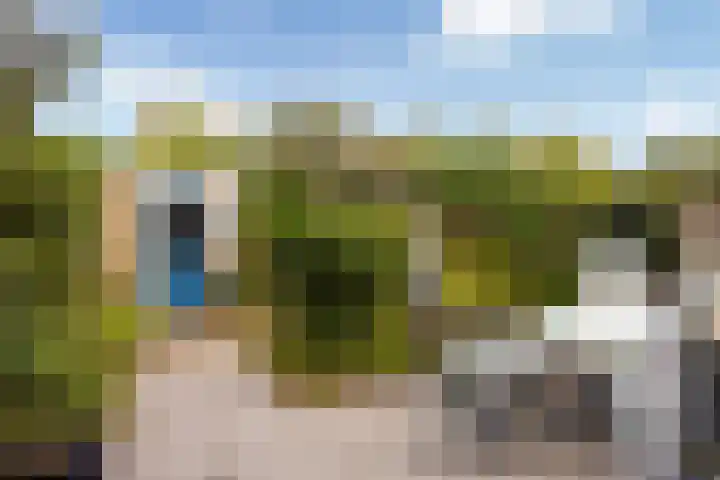 Alfred Nobellaan 122 De Bilt thumbnail 34