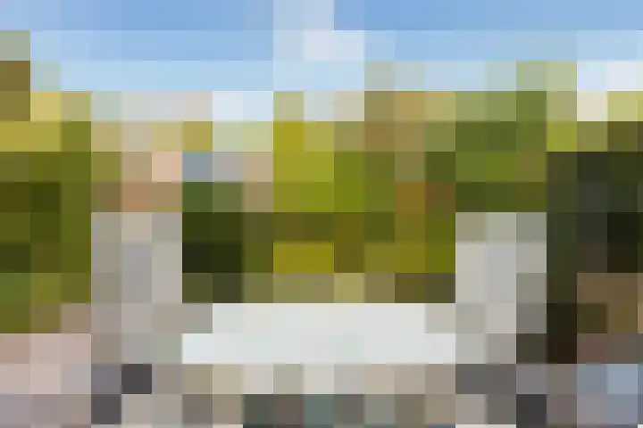 Alfred Nobellaan 122 De Bilt thumbnail 35