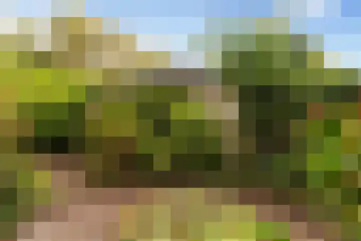 Alfred Nobellaan 122 De Bilt thumbnail 36