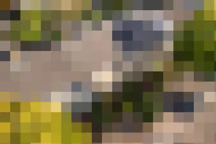 Alfred Nobellaan 122 De Bilt thumbnail 45