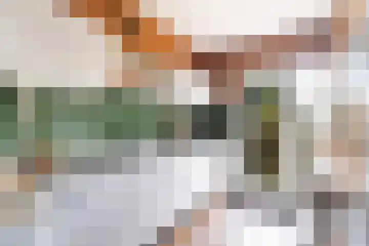 Alfred Nobellaan 21 De Bilt thumbnail 16