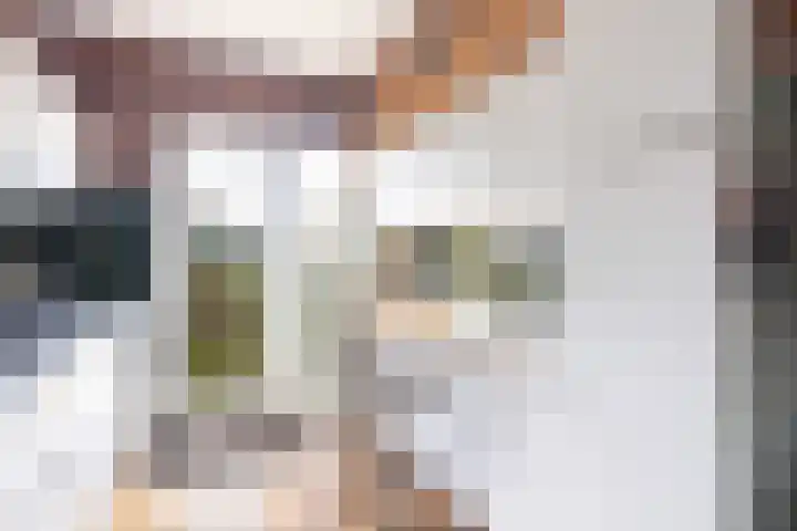 Alfred Nobellaan 21 De Bilt thumbnail 17
