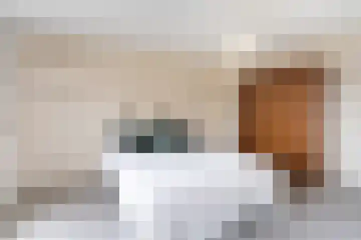 Alfred Nobellaan 21 De Bilt thumbnail 21