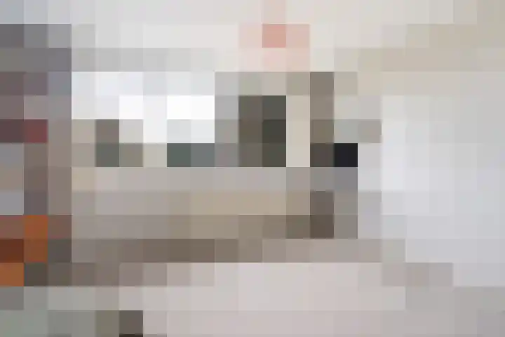 Alfred Nobellaan 21 De Bilt thumbnail 24