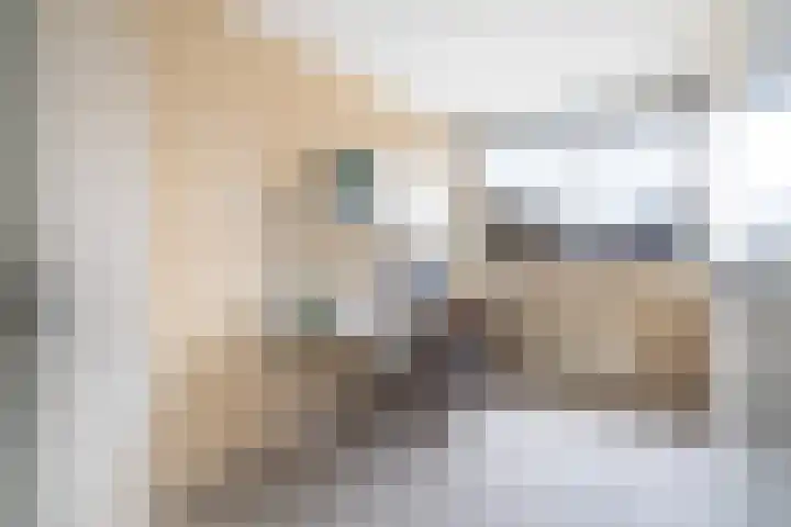 Alfred Nobellaan 21 De Bilt thumbnail 25