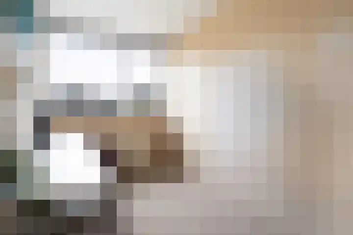 Alfred Nobellaan 21 De Bilt thumbnail 26