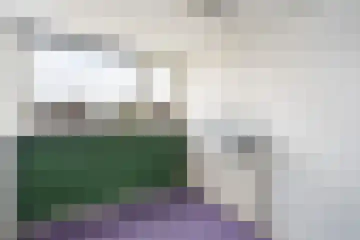 Alfred Nobellaan 21 De Bilt thumbnail 33