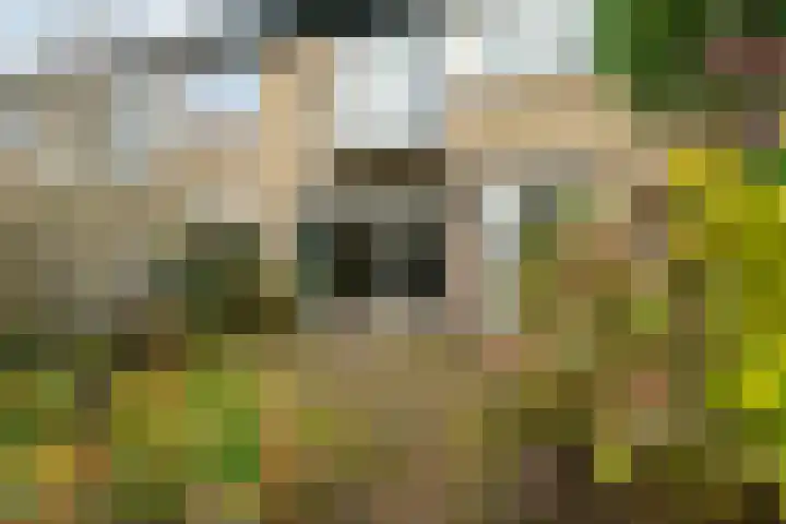 Alfred Nobellaan 21 De Bilt thumbnail 38